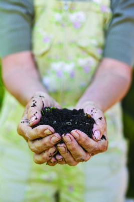 $2 Million in Grants Available