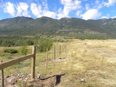 Grants Available for Grassland and Rangeland Projects