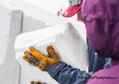 Avalanche Canada Receives $325,000 from the Trust