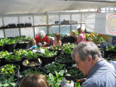 Social Enterprises Celebrated