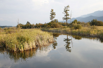 Local Communities Aim to Reduce Energy and Emissions
