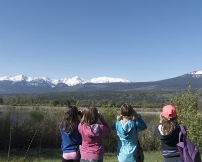 Supported by the Trust, the Columbia Wetlands Waterbird Survey is using citizen scientists to help the area achieve Important Bird Area status. Intakes for the Trust's social, environment and youth grants are now open.