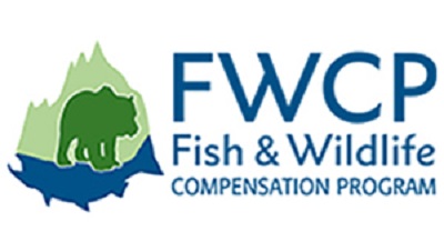 FWCP is Now Accepting Grant Applications for Fish & Wildlife Projects