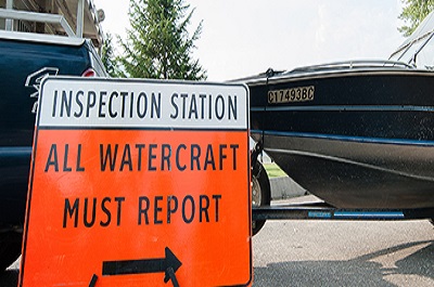 New Resources Help Combat Invasive Mussels