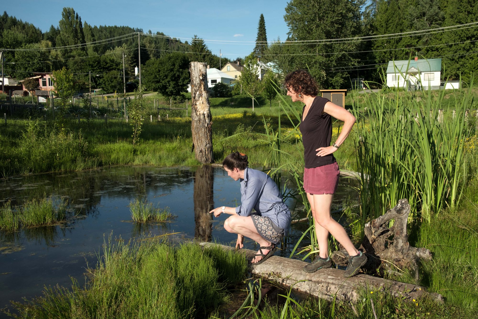 Growing Our Wetlands and Grasslands