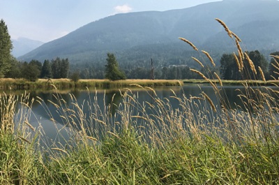Trust Supports Acquisition of Land for New Regional Park in Crawford Bay