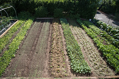Young Agrarians Hire Basin Coordinator