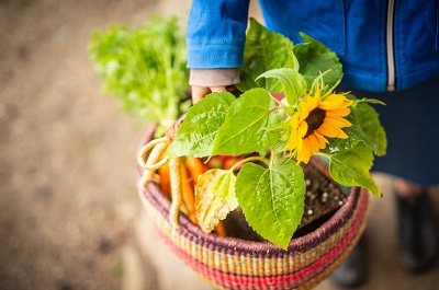 BC Farmers’ Market Trail is Ripe for Exploration