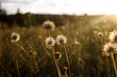 Two New Funding Opportunities for Social Projects