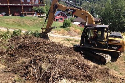 Taking Action to Reduce Wildfire Risks