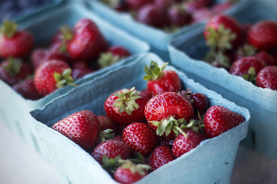 Two New Programs Support the Region’s Food Supply