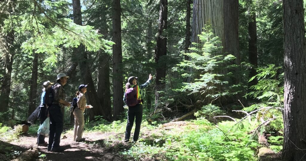 An Interactive Trail for All