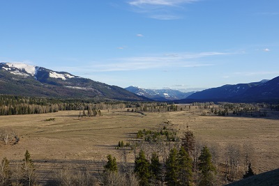 New Projects Support Biodiversity, Improve Basin Ecosystems