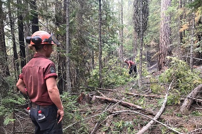 Province partners with Columbia Basin Trust to reduce wildfire risks