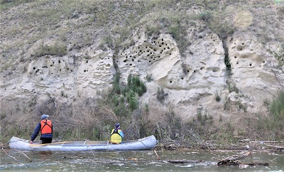 Ecosystems and Species-At-Risk Habitat Enhanced