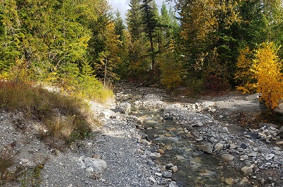 Ecosystem Enhancement Initiatives Benefit Upper Columbia