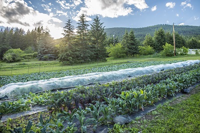 New Supports for Climate Resilience in Basin