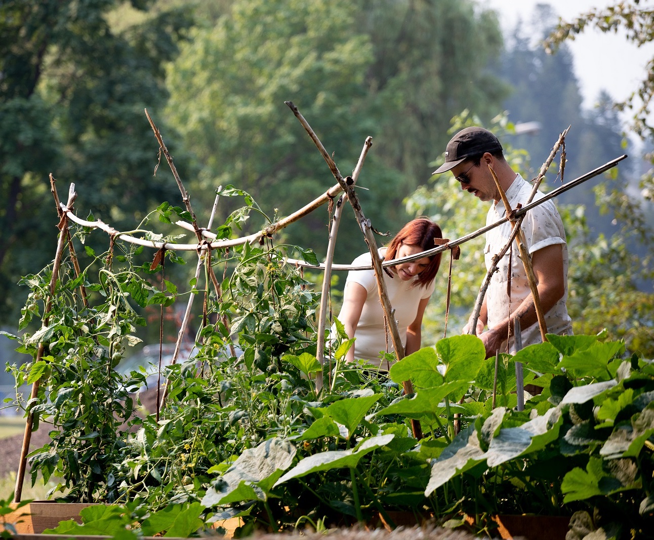 Growing community abundance