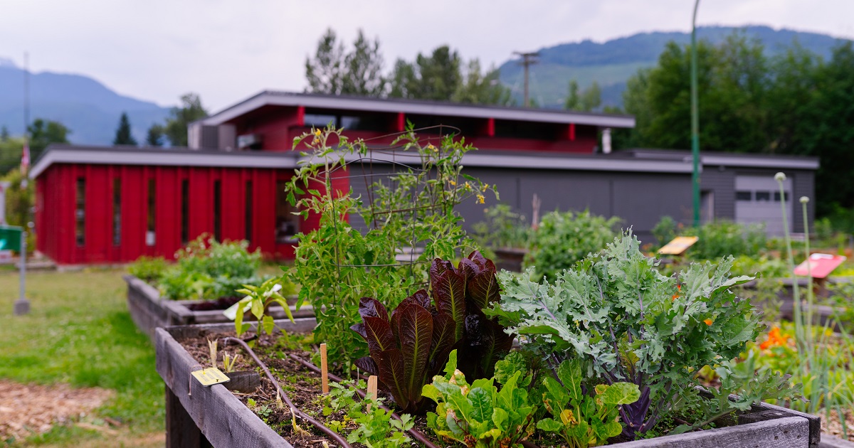 Securing Local Food—and the Non-profit That Promotes It