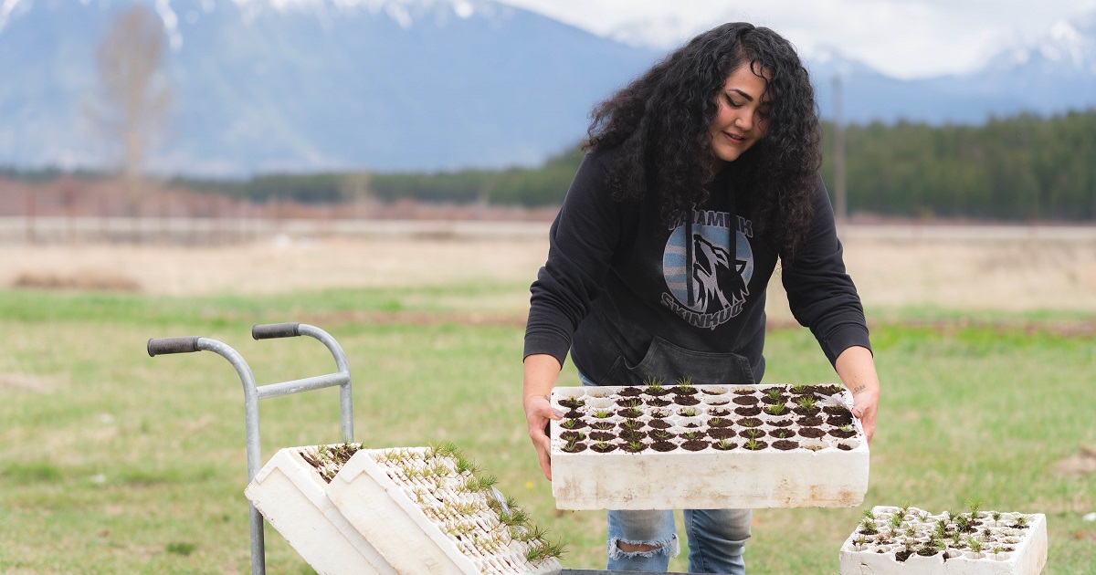 Saving a Tree and Helping the Species That Rely on It