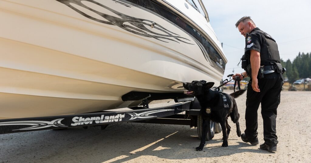 Invasive Mussels Successfully Held at Bay