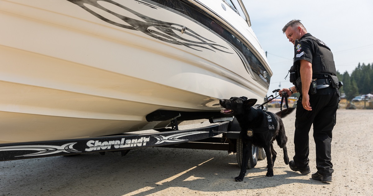 Invasive Mussels Successfully Held at Bay