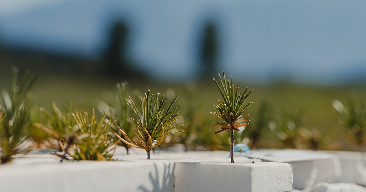 Long-term Benefits to Ecosystems