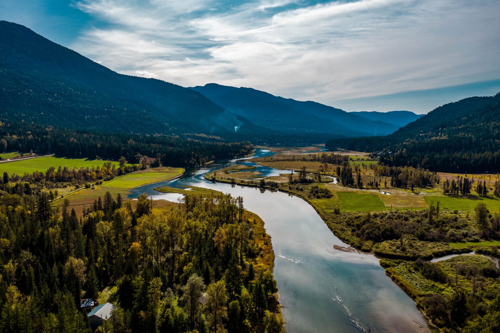 Building resilience in ecosystems