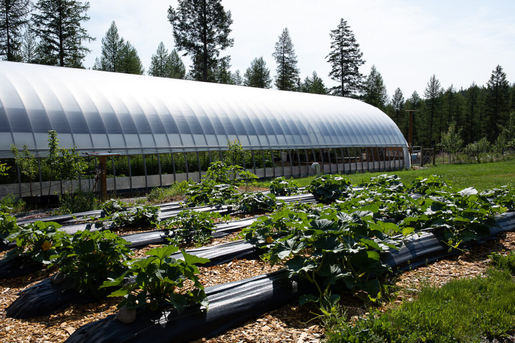 Farms get support to face climate change