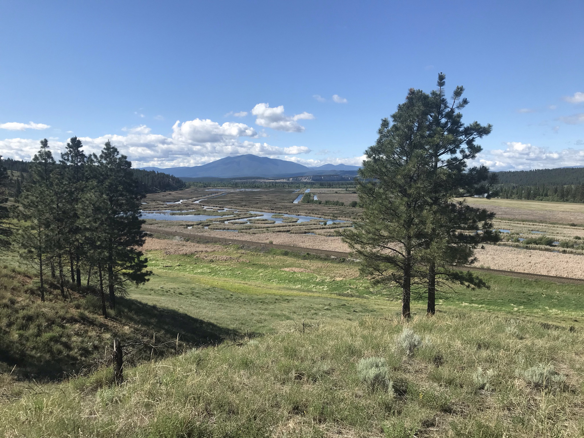 Enhancements focus on ecosystem health