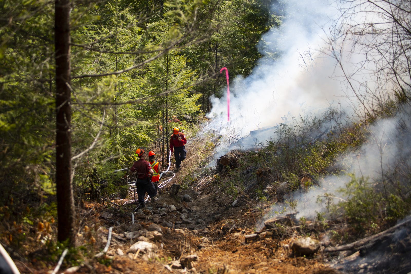 Building wildfire resilience 