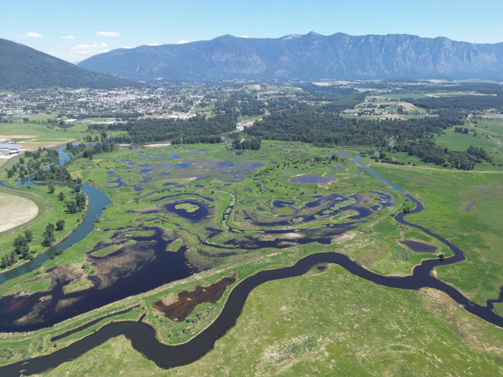 Doubling down on wetland restoration in yaqan nuɁkiy