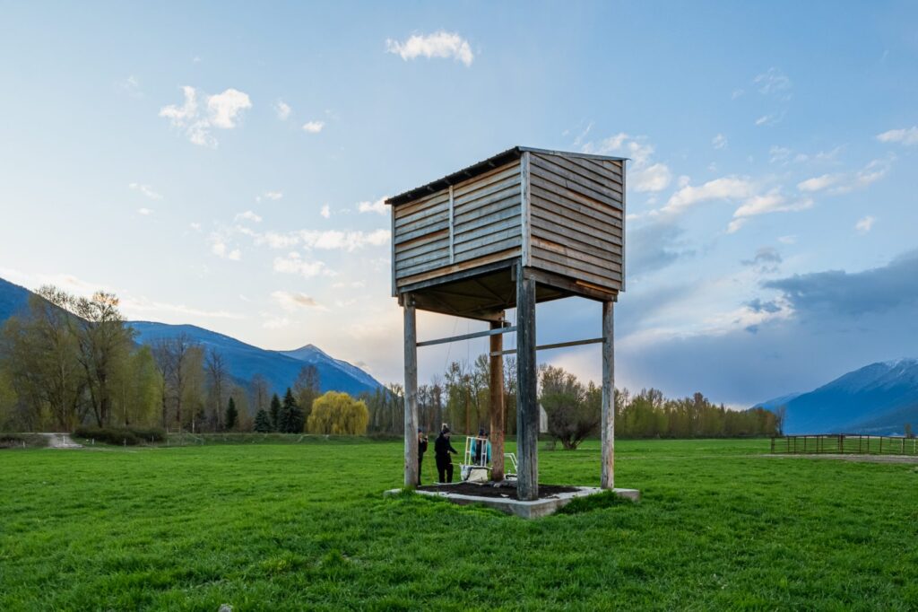 Bats get a new room to roost