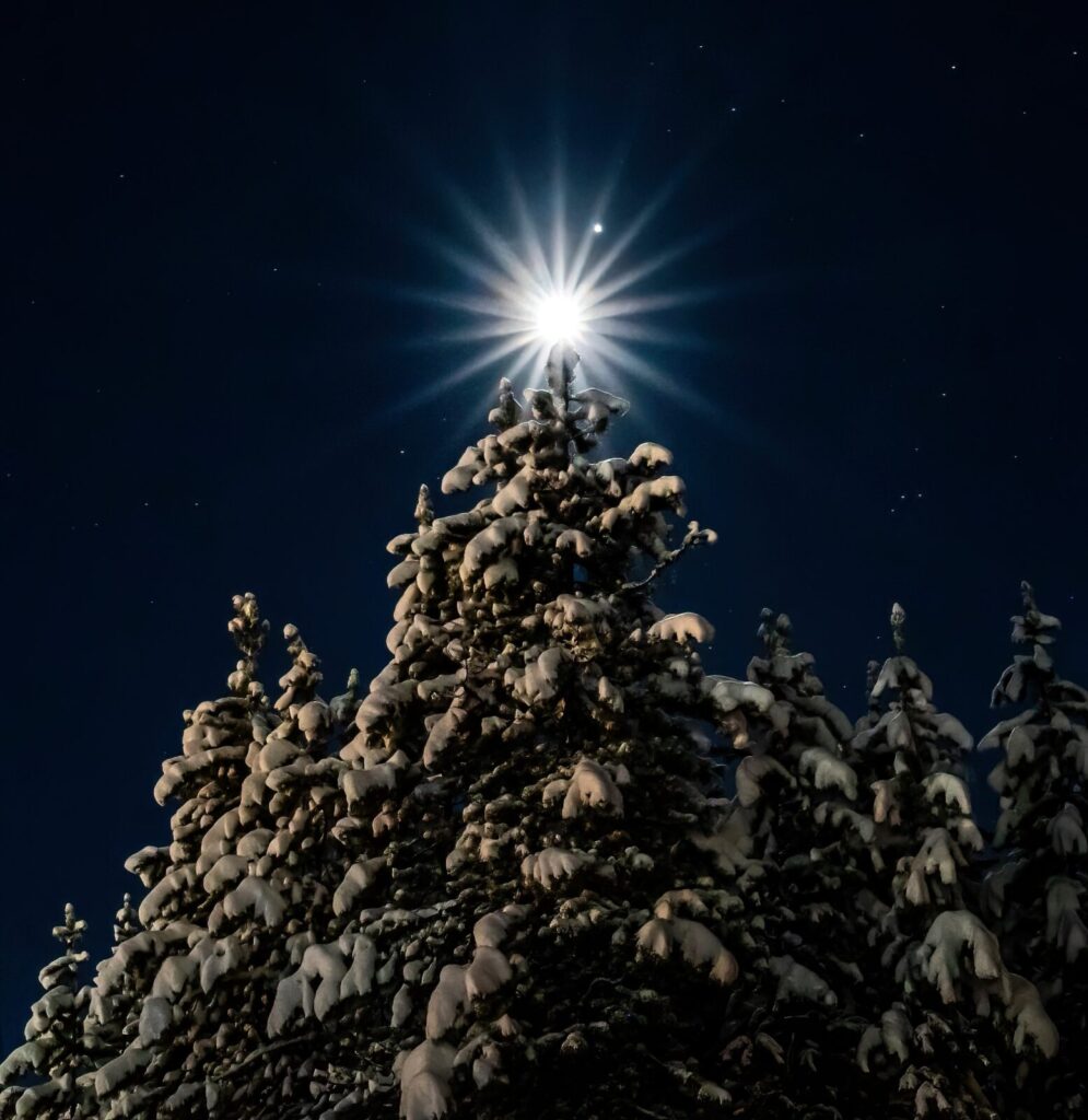 12 ways to reduce waste this holiday season