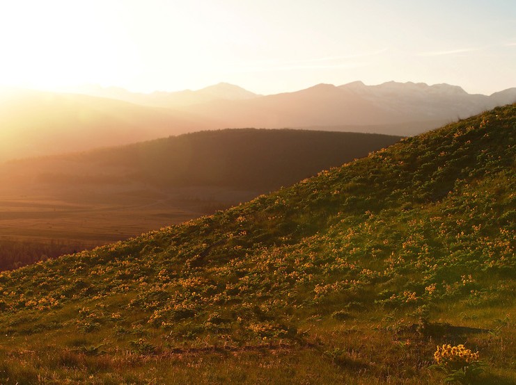 Wycliffe: Where the Land Came Back Together
