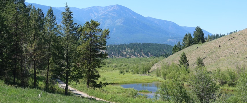 $2.3 Million Invested to Strengthen Columbia Basin Ecosystems