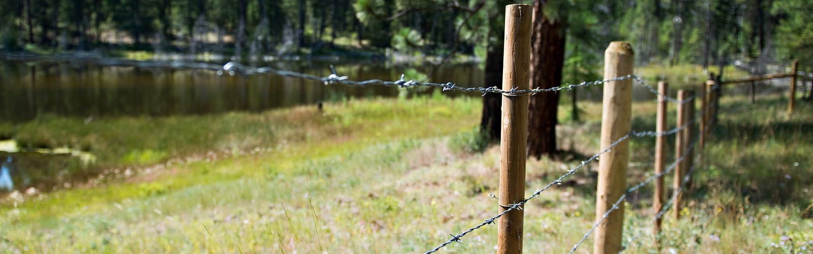Grassland and Rangeland Enhancement Program